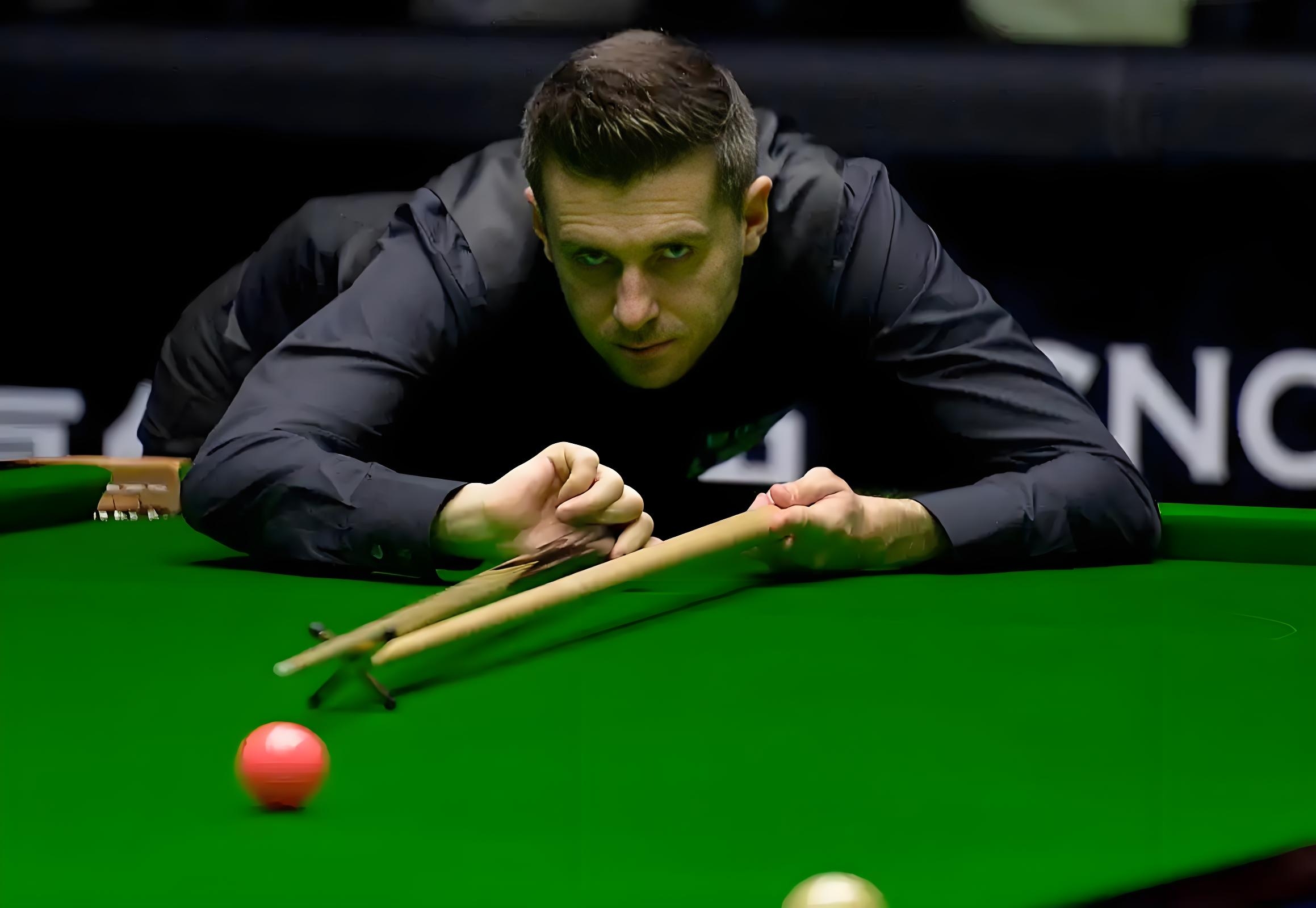 不仅是因为 不仅是因为