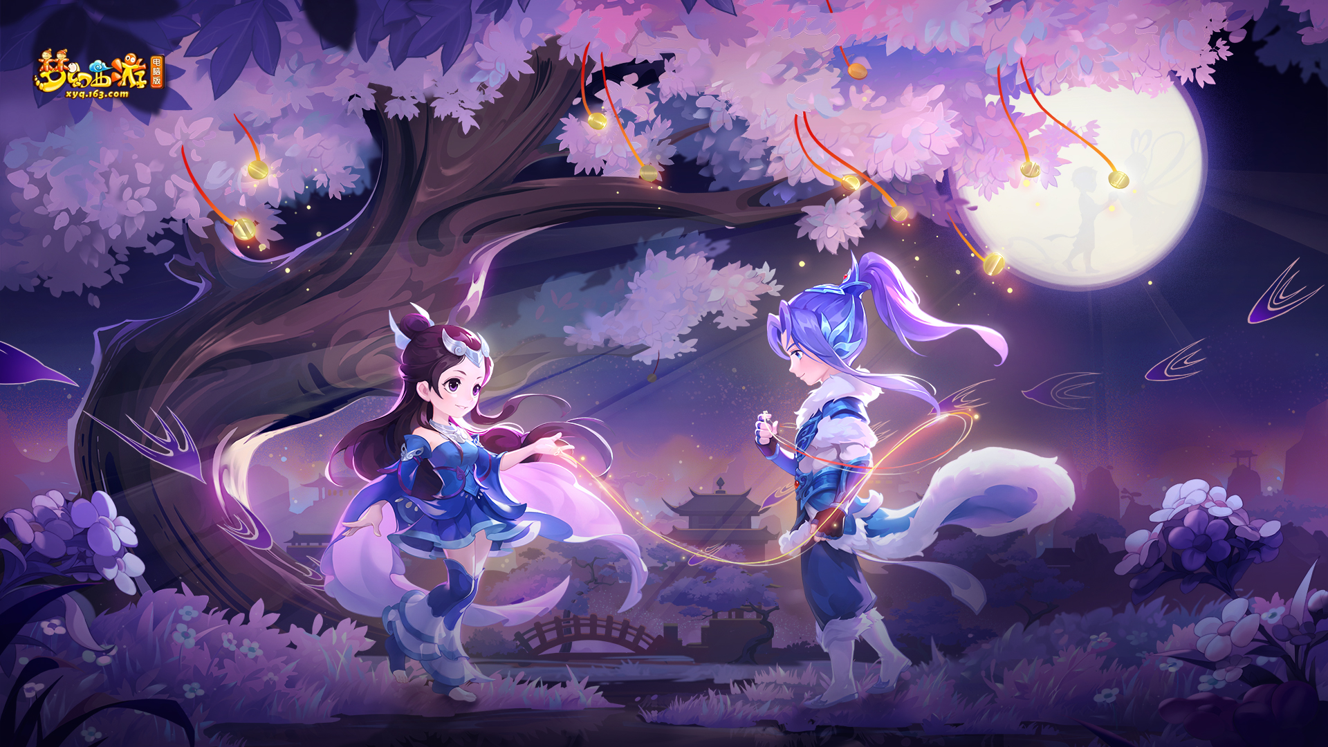 了更多关注 了更多关注