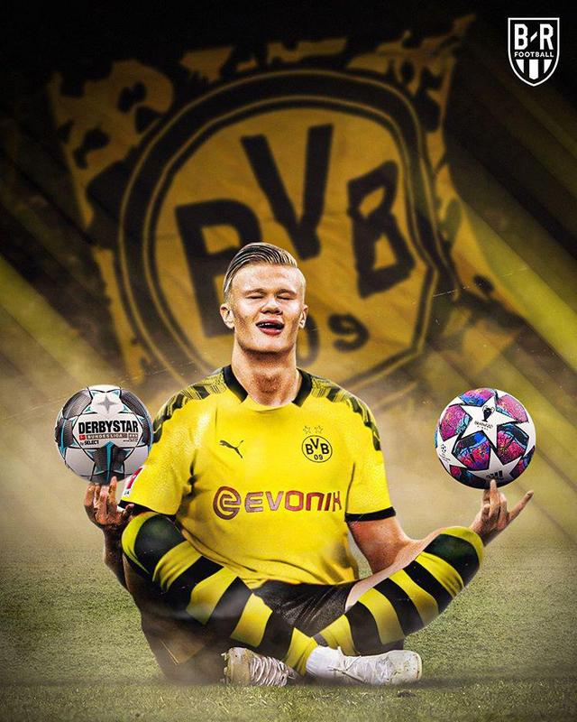 多点开花 多点开花